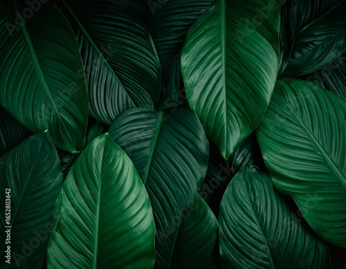 Wallpaper Mural Deep green, lush tropical leaves Torontodigital.ca