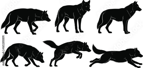 Wolf silhouette set, wild animal vector, black wolf icons, forest predator clipart, nature wildlife illustration, hunting wolf shapes, wild canine outlines, animal design elements, running jumping 