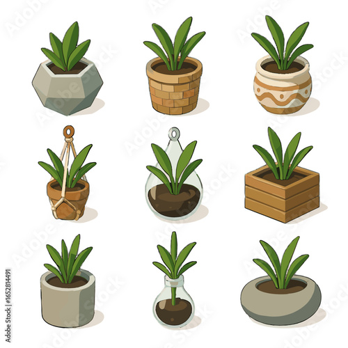 Cement vector macrame isometric container hanging terrarium geometric plant planter box icon