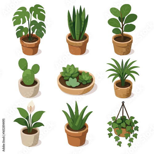 Basket icon vector icons fig houseplant fiddle lily isometric leaf plant snake