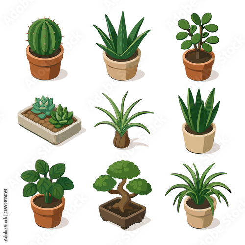 Tray icons cactus spider tree succulent icon vector plant isometric air snake