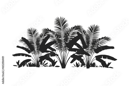 A striking black and white silhouette illustration featuring a lush tropical foliage arrangement with tall palm leaves and smaller banana plant leaves creating a dense natural border.