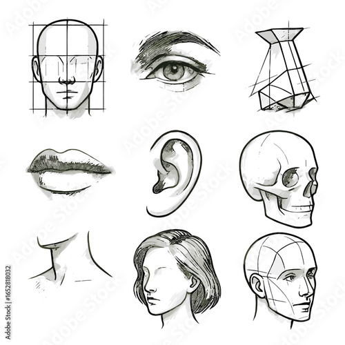 Icon shading eye vector guide isometric face lines neck base sketch portrait