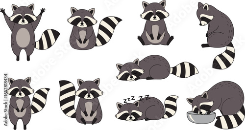 Cartoon raccoon character set with cute poses and activities, playful animal mascot design for kids, wildlife clipart, vector illustration pack