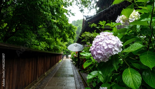 Fototapeta Naklejka Na Ścianę i Meble -  A path through a lush, rainy Japanese garden