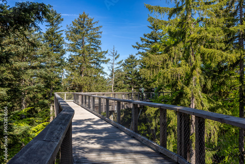 Steg des Baumwipfelpfades im Nationalpark Bayerischer Wald