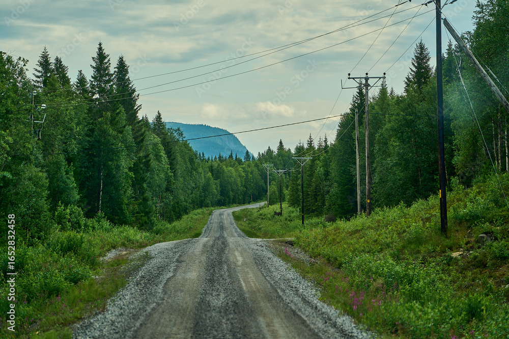 Fototapeta premium typical vast landscape of the fjell in swedish Lapland.