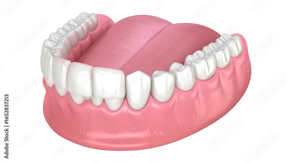 Fototapeta premium 3D model of human teeth and gums (1)