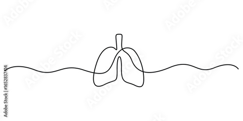 Continuous one line drawing of human lungs illustration. Single line art human anatomical of lungs . Doodle vector illustration