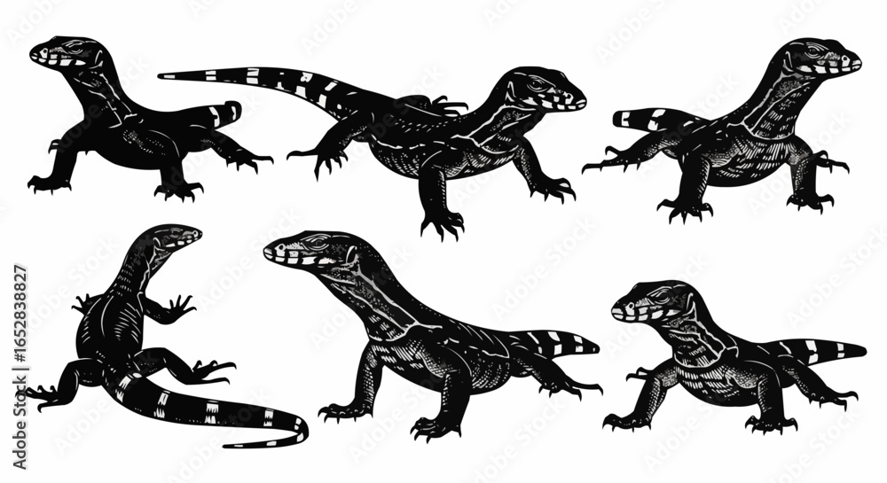 Naklejka premium Monitor Lizard Silhouette Set on White Background – Komodo Dragon, Water Monitor, Savannah Monitor, Nile Monitor, Exotic Reptiles, and Giant Lizard Vector Silhouettes Isolated
