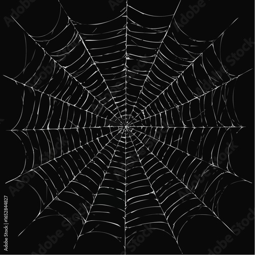 Intricate Spiderweb Design arachnid nature