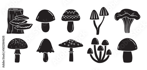 mushrooms silhouette monochrome with patterns illustration set. Trendy mushroom creative fabulous mystic folklore collection