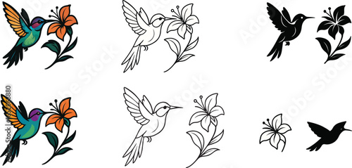 Hummingbird Flying Near a Flower Vector Illustration