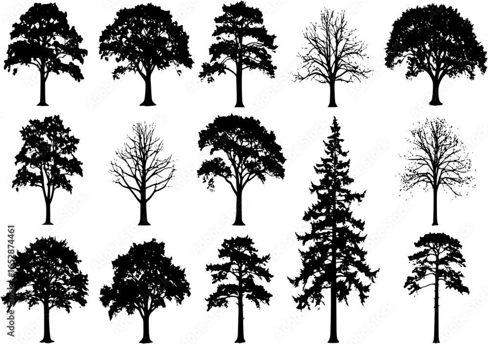 trees collection, 16 detailed, different tree vector
