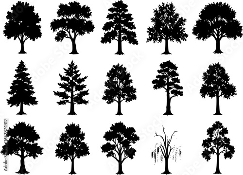trees collection, 16 detailed, different tree vector
