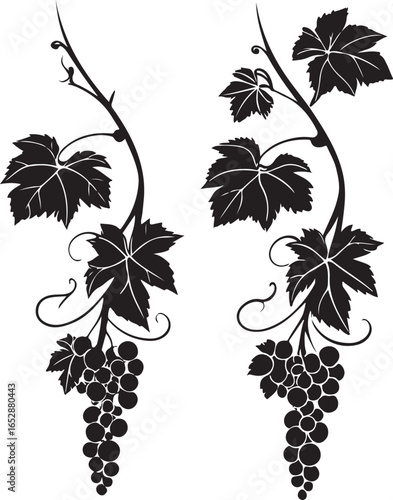 Detailed vineyard grape cluster artwork featuring ripe yellow grapes and leaves suitable for winery decoration and natural agriculture design.