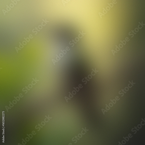 Blurry image of a bird perched in a sunlit forest