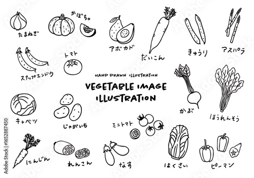 かわいい手描きの野菜イメージイラストセット