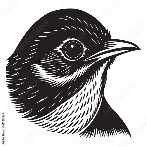 A Superb Fairywren Foraging, an Energetic and Social Bird Hopping on the Ground and Searching for Food in a Wild Garden