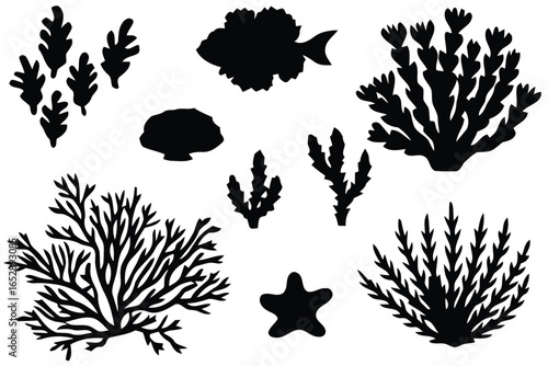 Collection of marine life silhouettes including coral fish and seaweed isolated on white background