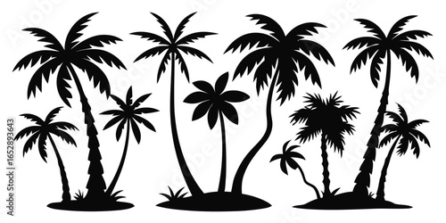 Collection of diverse palm tree silhouettes isolated on white background