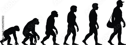 Evolution of man silhouette illustration showing stages from ape to modern human walking with bag, human progress, anthropology, history concept