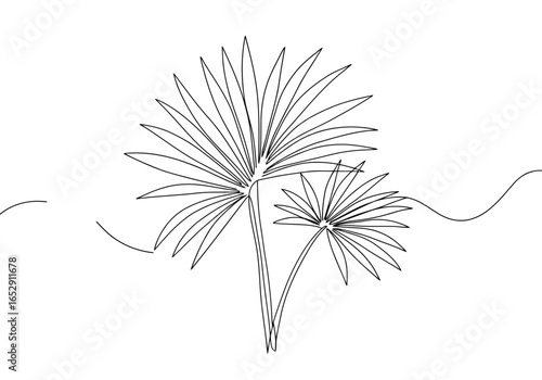 Minimalist continuous line drawing of two palm fronds