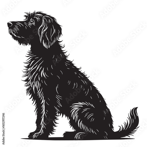 black goldendoodle Silhouette Vector, High Quality Illustration on White Background