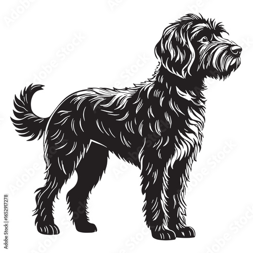 black goldendoodle Silhouette Vector, High Quality Illustration on White Background