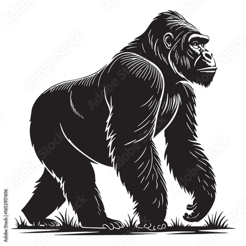 black gorilla Silhouette Vector, High Quality Illustration on White Background