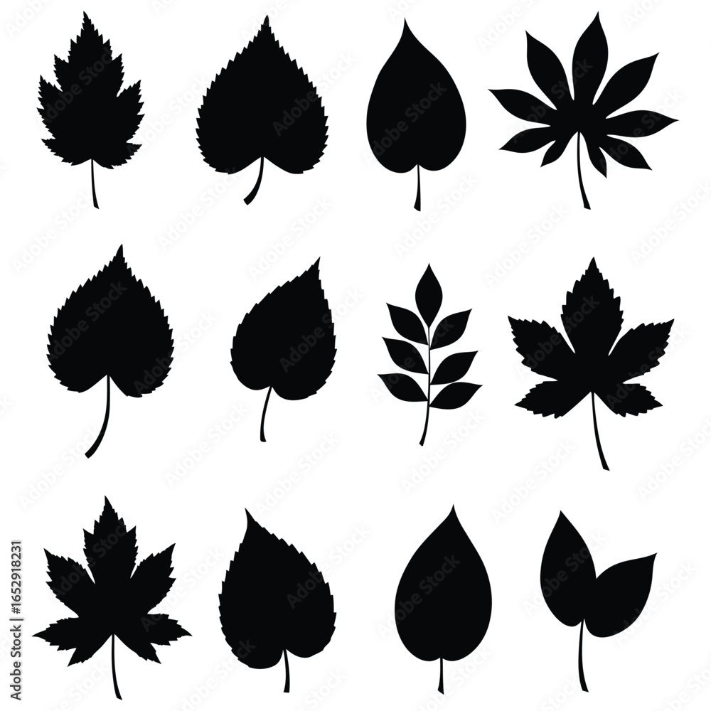 Fototapeta premium Collection of Various Leaf Silhouettes Isolated on White Background Botanical Illustration silhouette