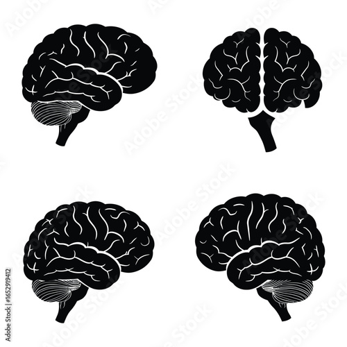 Human Brain Anatomy Silhouette Set Medical Illustration of Thinking and Cognitive Function silhouette