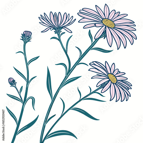 floral background with asters perennial uk