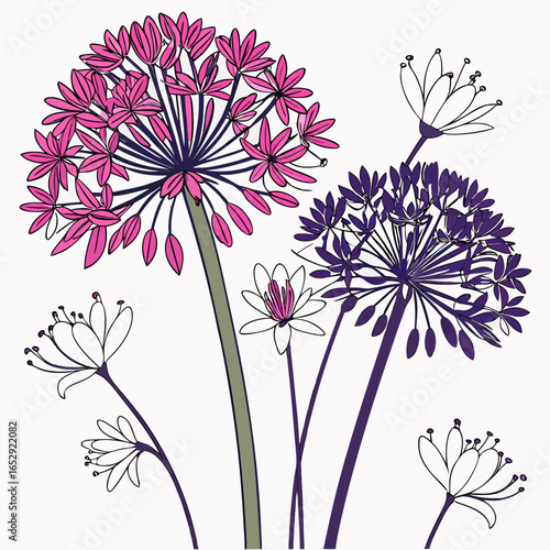floral background with allium giganteum