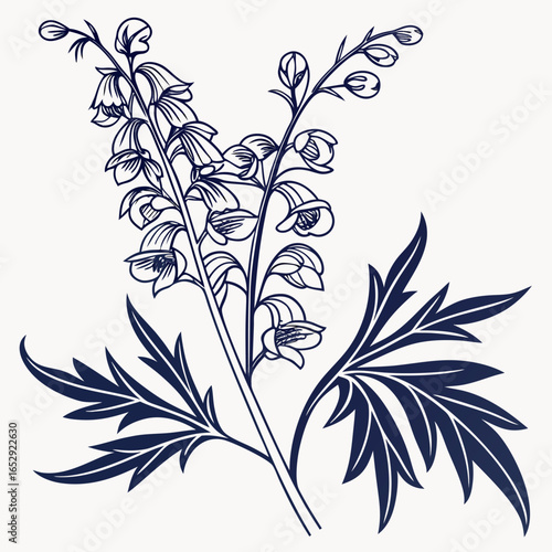 abstract floral background with aconitum variegatum