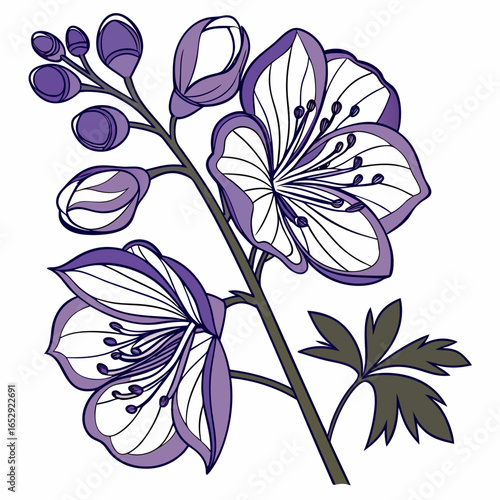 seamless pattern with aconitum variegatum