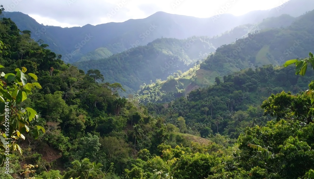 Fototapeta premium Lush mountain valley, sunlit vista