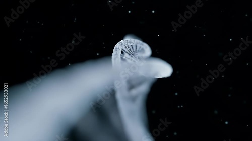 Abstract 3D Rendering Of DNA Strands With Blue Particles On Black Background