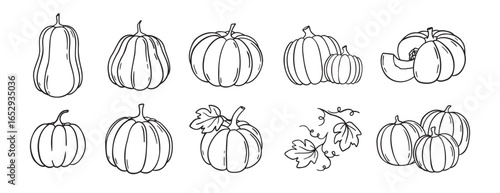 pumpkin and pumpkin leaves autumn harvest doodle hand drawn icon set. Outline drawing pumpkin line clipart symbol collection