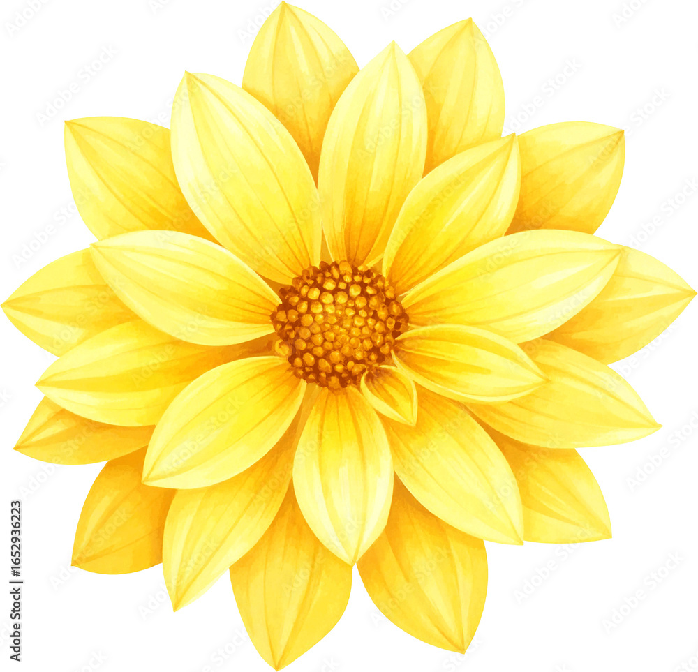 Obraz premium watercolor dahlia flower illustrations in various colors including pink, red, orange, and yellow. Some flowers have stems and green leaves, all depicted with delicate brushstrokes on a light textured 