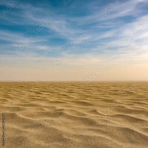 sand dunes on the beach