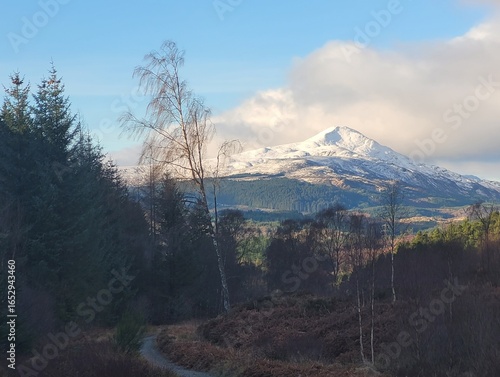 View of Ben Lomond