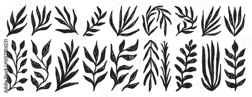 Plant silhouette leaves textured set. Leaves crayon hand drawn foliage simple collection. Trendy nature freehand rough grunge organic shapes.