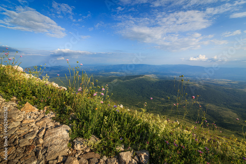Scenic view from the hiking path leading to Rtanj mountain, showcasing lush greenery and dramatic skies.