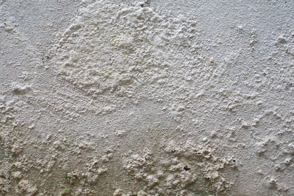 Obraz premium white concrete wall texture