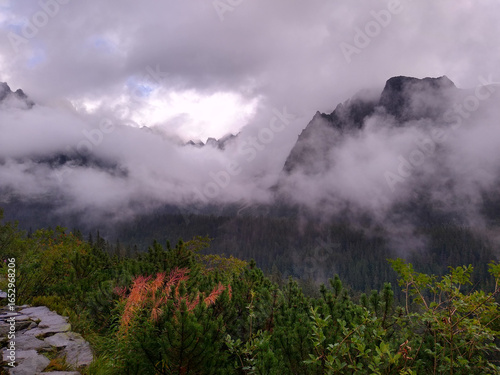 Foggy mountains in High Tatras, view from the path to Popradske pleso