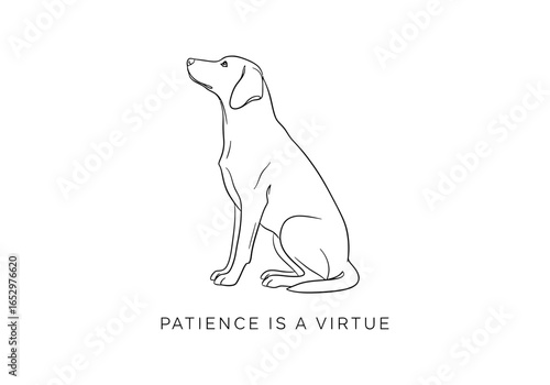 Dog sitting patiently isolated on white background