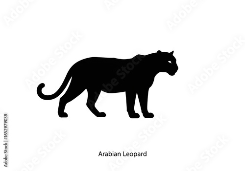 Silhouette of an arabian leopard standing on a white background in a simple vector illustration