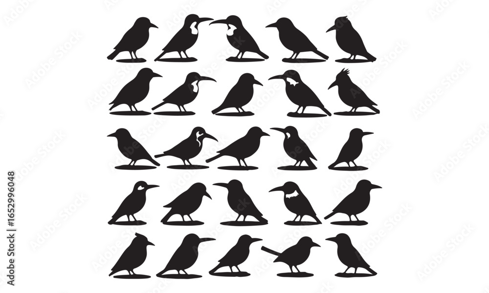 Naklejka premium Silhouette of Various Bird Species Posing on Branches, Black and White