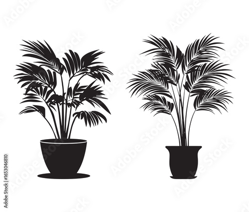 Vector design of a potted palm plant silhouette.